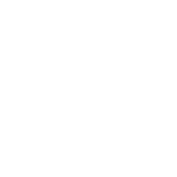 Lightbulb icon